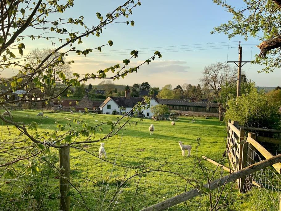 The Cart House - Beautiful Contemporary Barn - Hot Tub Apartment บริดจ์นอร์ท ภายนอก รูปภาพ